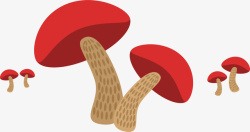 秋季立秋成熟蘑菇素材