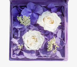 紫色鲜花礼物盒素材