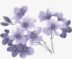 紫色水彩花朵花束素材