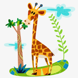 高大动物长颈鹿吃树叶高清图片