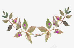 手绘水彩植物叶子装饰素材