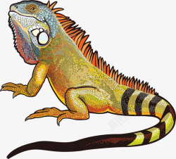 蜥蜴插画创意卡通蜥蜴装饰图案高清图片