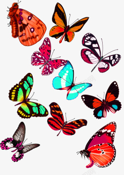 多彩清新蝴蝶装饰图案素材
