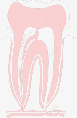 口腔科素材