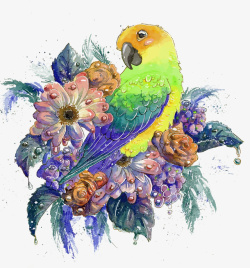 水彩花朵和鹦鹉矢量图素材