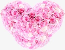 粉色玫瑰花爱心素材