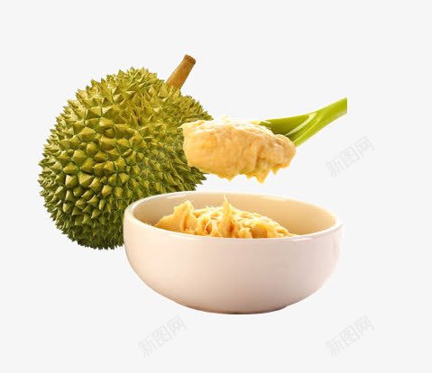 金枕头榴莲png免抠素材_88icon https://88icon.com png图片素材 产品实物 免费png元素 免费png素材 榴莲 泰国进口 金枕头