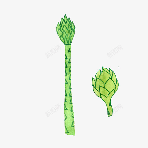 小清新简约手绘水彩绿色笋干png免抠素材_88icon https://88icon.com 小清新 手绘 水彩 简约 绿色笋干