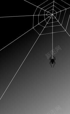 蜘蛛网矢量图背景