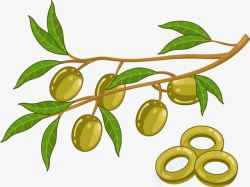 卡通植物橄榄橄榄油矢量图素材