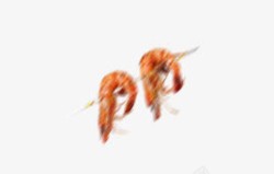 串串虾子虾子高清图片