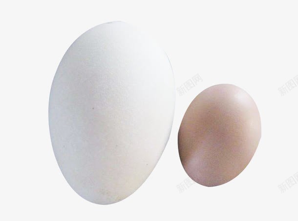 鹅蛋与鸡蛋png免抠素材_88icon https://88icon.com 蛋白 蛋蛋 蛋黄 鸡蛋 鹅蛋