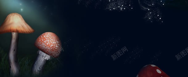蘑菇的星空背景