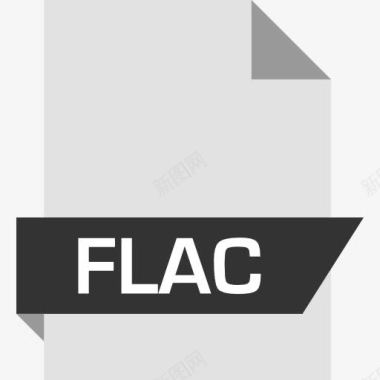 RAW格式FLAC图标图标