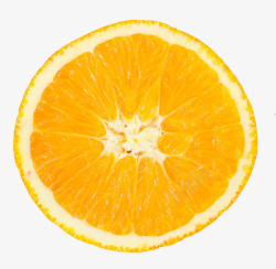 橙子剖面图素材