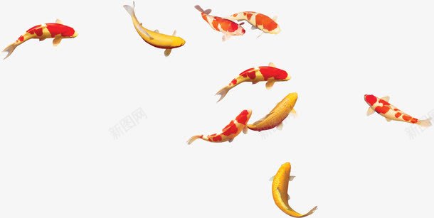 清新手绘鱼儿白底png免抠素材_88icon https://88icon.com 清新 素材 鱼儿