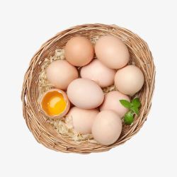 绿叶鸡蛋矢量篮子里的鸡蛋高清图片
