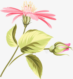 手绘粉色的花朵图素材