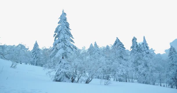 牡丹江树林雪景psd免抠素材_88icon https://88icon.com 冬日雪景 城市街景 旅游风景