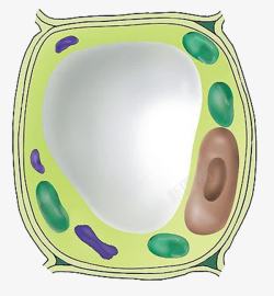 绿色医学细胞图形素材