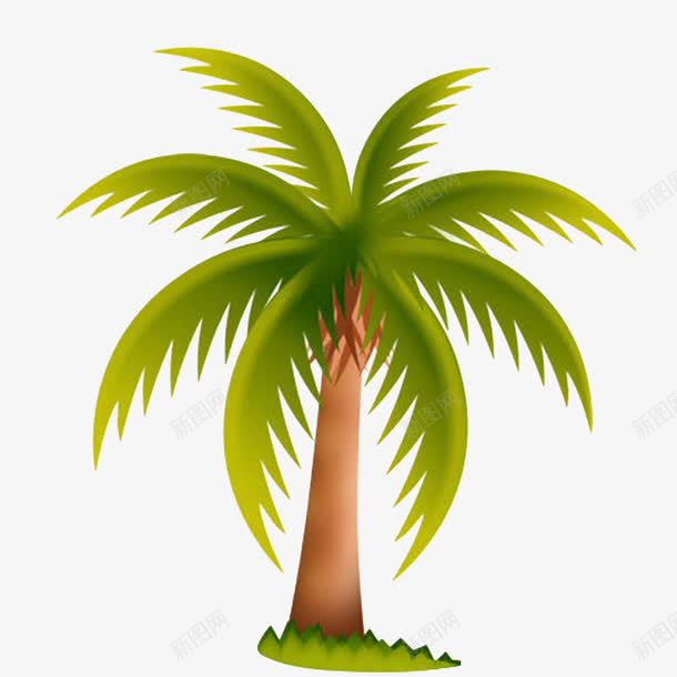 散开的椰子叶png免抠素材_88icon https://88icon.com 卡通 树叶 植物 椰子叶 椰子树 装饰