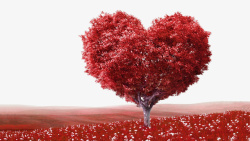 红色的树木清新红色爱心树高清图片