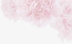 淡粉色花朵背景元素素材