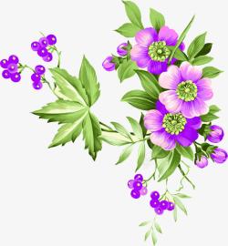 手绘紫色水彩小花植物素材