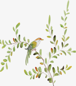 树枝上的小鸟水彩图素材