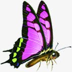 紫色手绘美景蝴蝶飞舞png免抠素材_88icon https://88icon.com 紫色 美景 蝴蝶 飞舞