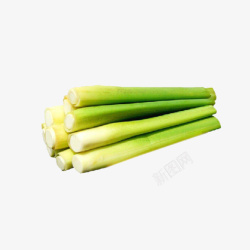 茭白实物素材