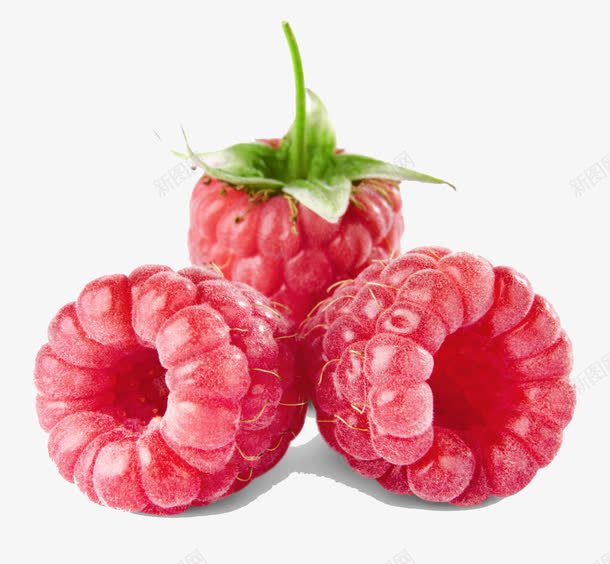 红色的树莓png免抠素材_88icon https://88icon.com 果实 树莓 水果 红色 食物