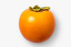 黄柿子元素素材