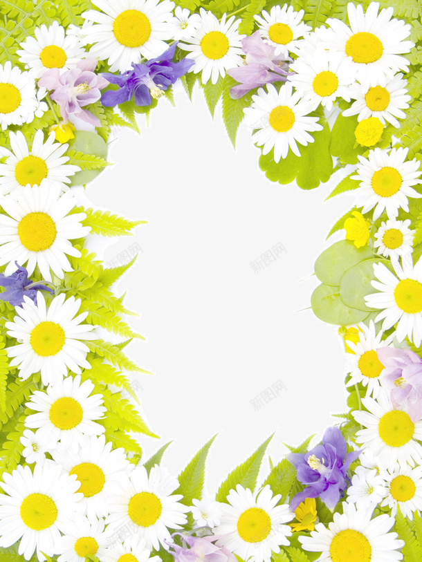 向日葵相框png免抠素材_88icon https://88icon.com 相框向日葵花朵 花边框