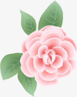 手绘粉色花朵教师节素材