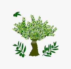 绿色的橄榄树素材