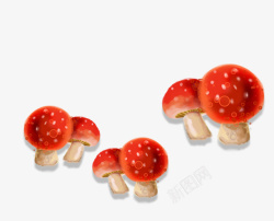 红色水彩蘑菇装饰图案素材