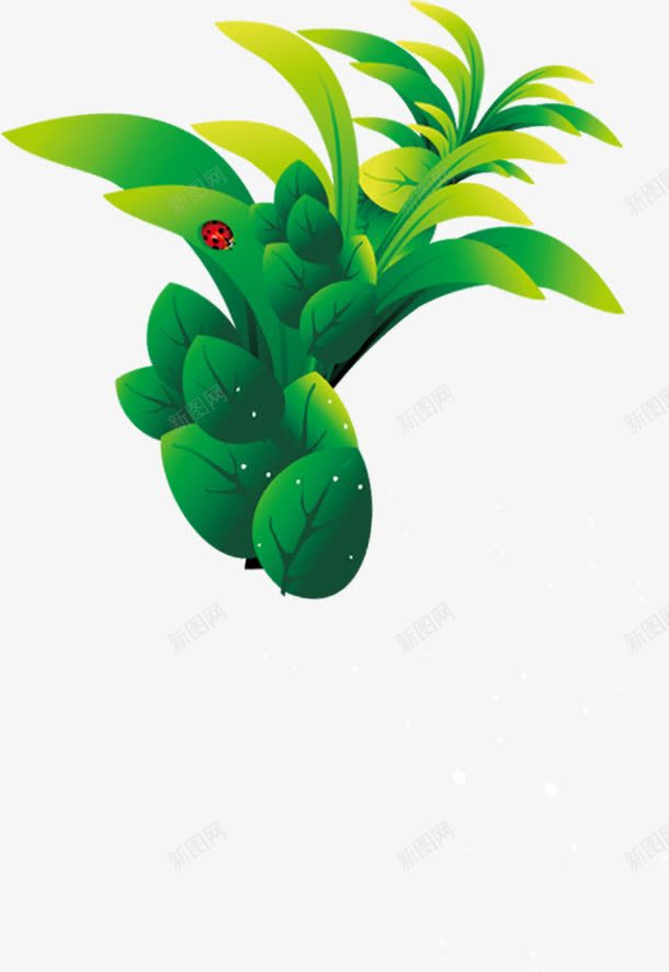 茂密绿色树叶上的瓢虫图案png免抠素材_88icon https://88icon.com 图案 树叶 瓢虫 绿色 茂密