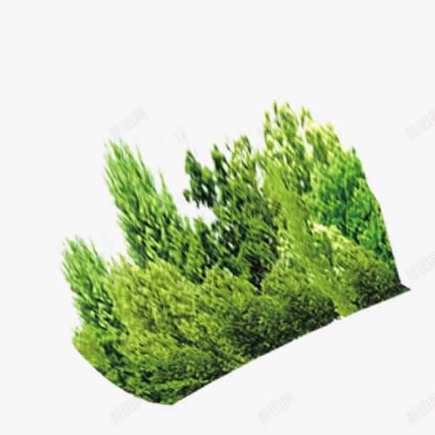 绿色植物丛png免抠素材_88icon https://88icon.com 景观 植物 灌木 绿化 绿色