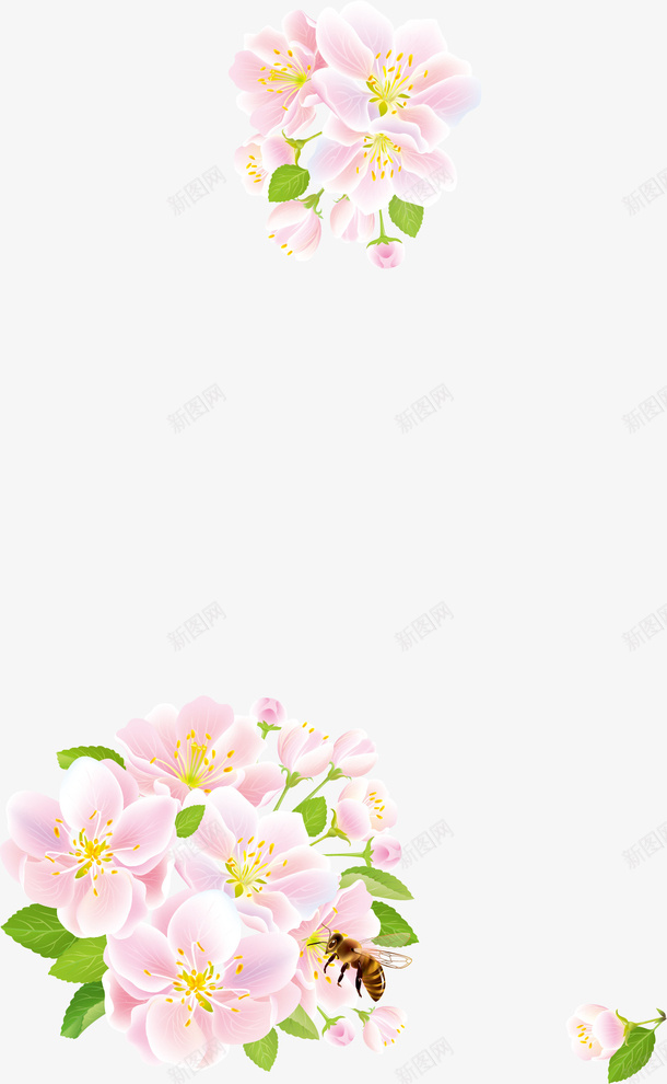 花卉边框矢量图ai免抠素材_88icon https://88icon.com 平面设计 花卉 花卉边框设计 花朵 矢量图