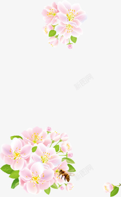 花卉边框矢量图素材