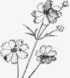 创意黑白复古风格的花卉植物素材