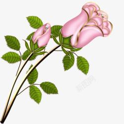 立体粉色玫瑰花束花骨朵素材