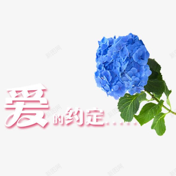 爱的约定png免抠素材_88icon https://88icon.com 爱 约定 绿叶 绿色 花朵 蓝色 风信子