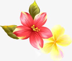 手绘彩色花朵植物花卉素材