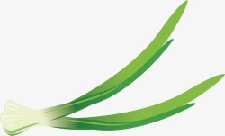 大葱火锅食物佐料素材