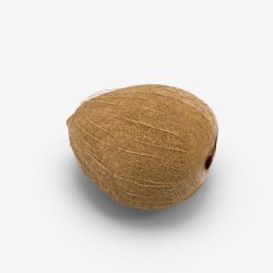 一个椰子素材