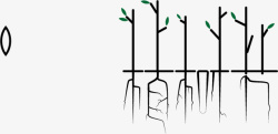 植树节创意字体素材