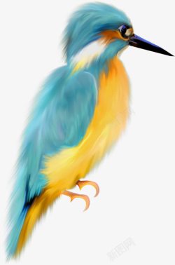 鸟的手绘动物元素素材