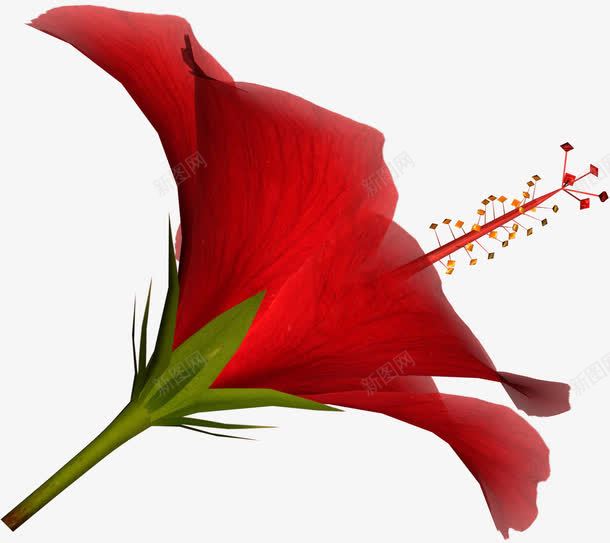 唯美背景花朵png免抠素材_88icon https://88icon.com 卡通鲜花 抽象花朵 抽象鲜花图片 花朵 花束 鲜花